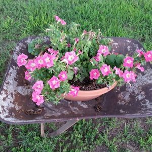 Meet your Posher, Earlene